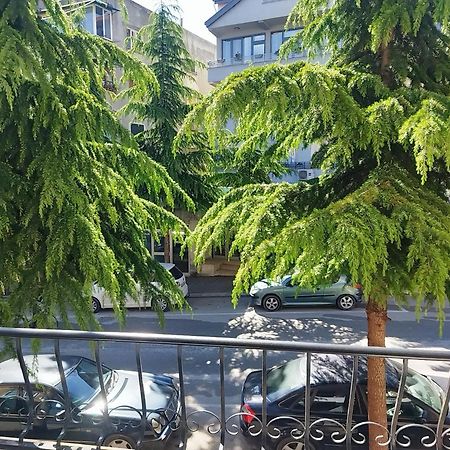 New Apartament بورغراديك المظهر الخارجي الصورة