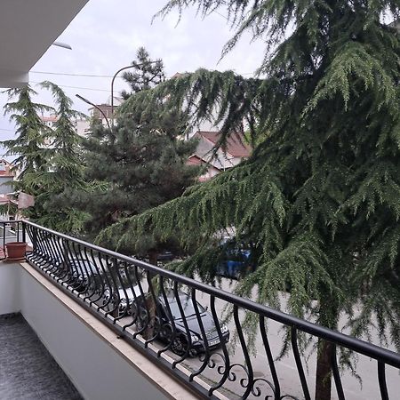 New Apartament بورغراديك المظهر الخارجي الصورة